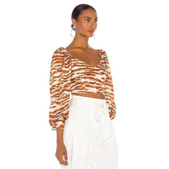 NEW Cult Gaia Debi Top Silk Blend Crop Amber Multi Animal Print Tiger Stripes XS - Picture 2 of 14